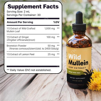 Mullein Drops with Ginger & Lemon for Lung Cleanse and Detox
