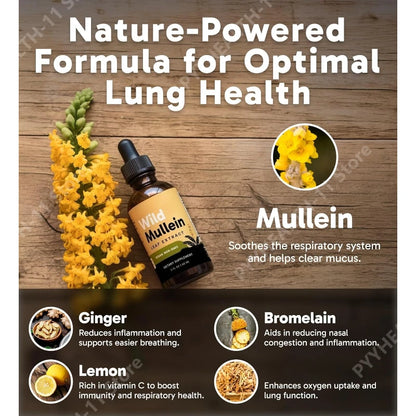 Mullein Drops with Ginger & Lemon for Lung Cleanse and Detox
